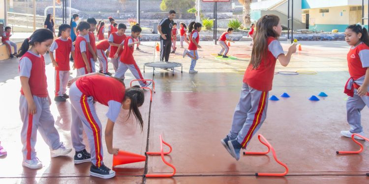 SLEP Iquique impulsa plan de neurociencia para potenciar aprendizajes en cuatro colegios