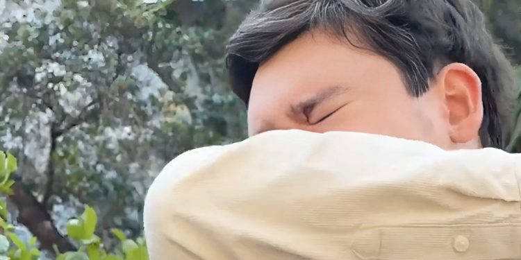 Guía de las alergias 2025: Especialistas advierten que tratamientos deben comenzar ya