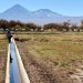 San Pedro de Atacama: Minagri entrega históricas bonificaciones de riego e inaugura tranque en el Ayllu de Cúcuter