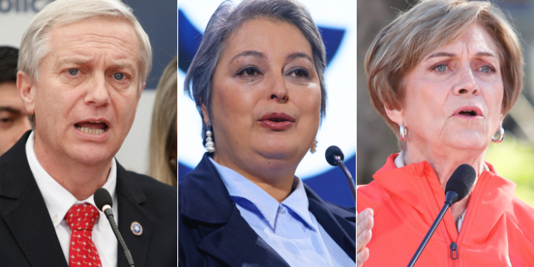 Panel Ciudadano-UDD: Kast (29%) supera por 2 puntos a Jara y por 15 a Matthei