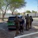Carabineros sorprende a individuos transportando toneladas de cables en carga de camión