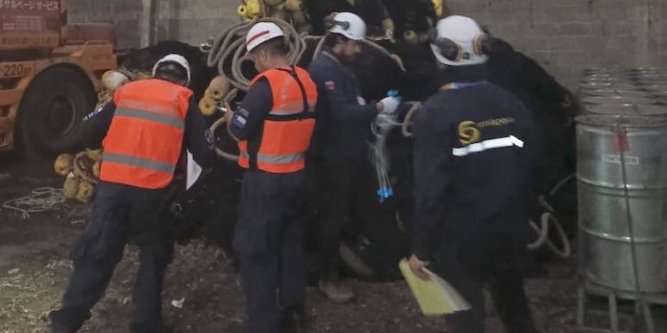 Tarapacá: Sernapesca y Armada incautan más de 66 toneladas de anchoveta extraída dentro de la primera milla marítima