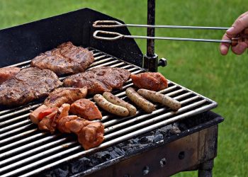 Especialista Universidad Chile entrega claves para un consumo seguro de carne en Fiestas Patrias