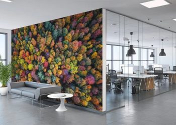 Un storytelling visual en muros para un marketing sensorial a través de la fotografía en gran formato