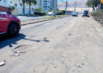 Calle «Teresa Wilms Montt»: Una vergüenza; parece campo minado