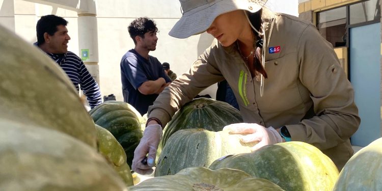 SAG da cuenta de avances y acciones operativas de la Campaña de Erradicación de la Mosca de la Fruta