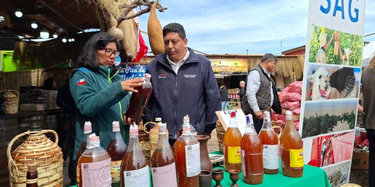 En vísperas de Fiestas Patrias: SAG Tarapacá refuerza fiscalización de chichas y vinos pipeños