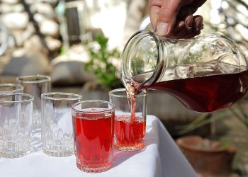 Del siglo XIX a tu mesa: La historia de los tragos típicos chilenos