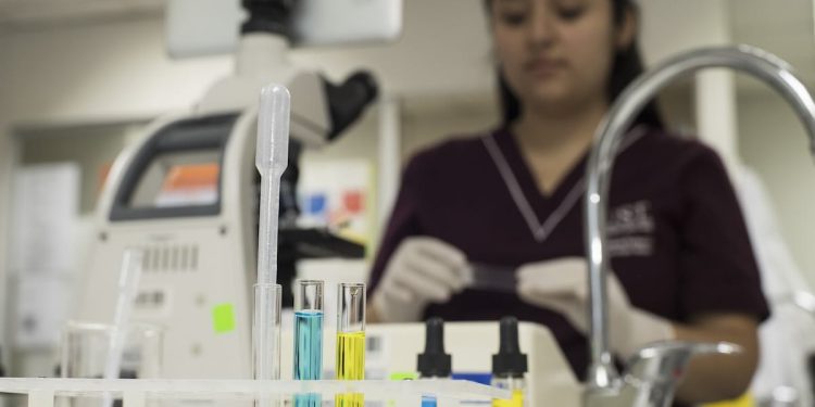 Santo Tomás avanza en Ciencia Abierta con proyecto adjudicado por ANID