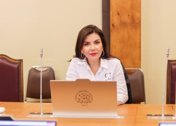 Diputada Astudillo responde a candidato boliviano: “Legalizar autos robados es legitimar el delito y dar impunidad a las mafias”