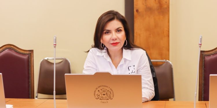 Diputada Astudillo responde a candidato boliviano: “Legalizar autos robados es legitimar el delito y dar impunidad a las mafias”