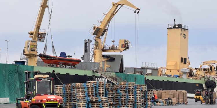 Puerto de Iquique recibe nueva nave factoría con positivo impacto laboral