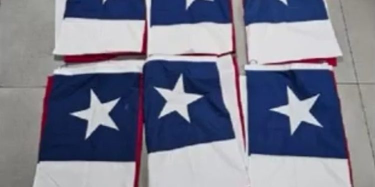 Carabineros detuvo a hombre que robó banderas del paseo Baquedano