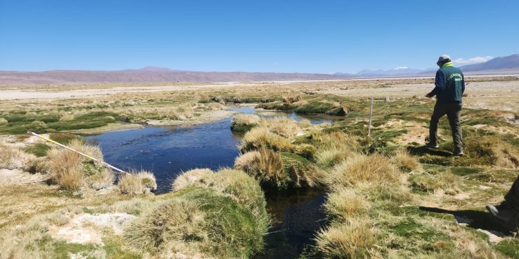 SMA inicia procedimiento para determinar si proyecto ganadero Galpón Salar Huasco debe someterse a evaluación ambiental