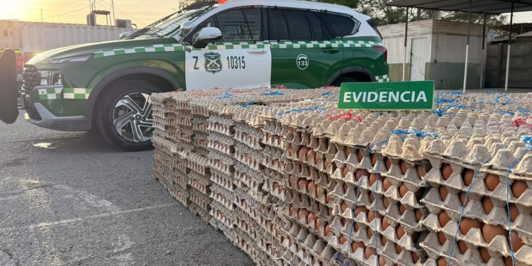 Carabineros de Pozo Almonte incautaron más de 35 mil huevos de contrabando