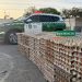 Carabineros de Pozo Almonte incautaron más de 35 mil huevos de contrabando