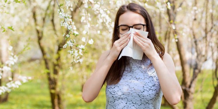 Primavera: Temporada de alergias