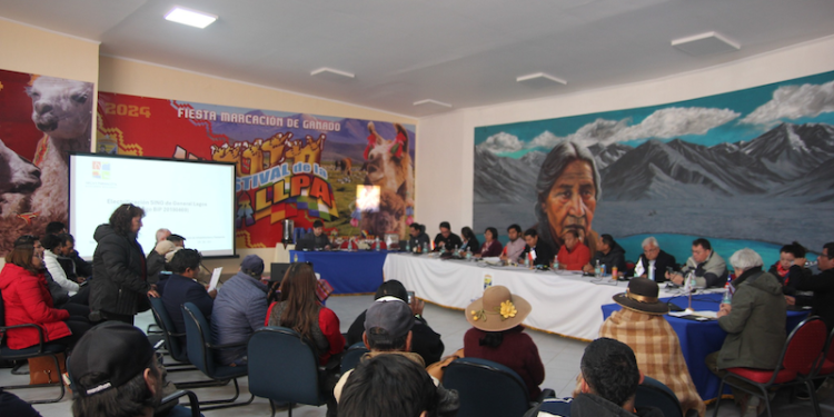 CORE de Arica y Parinacota aprueba financiamiento clave para comuna de General Lagos