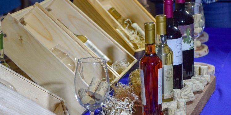 Pica se prepara para conmemorar el Día Nacional del Vino 2025