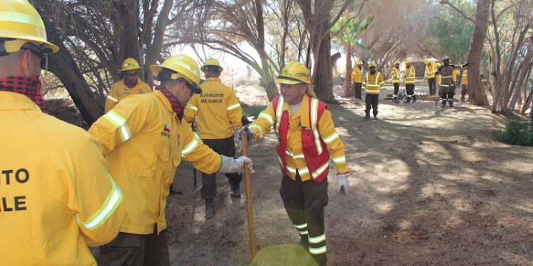 CONAF Tarapacá capacitó a Brigada Forestal del Ejército en manejo de incendios forestales