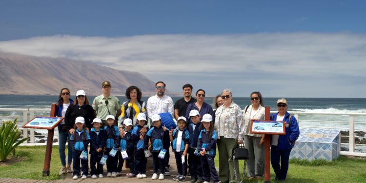 Inauguran paneles educativos para aprender y proteger a las aves marinas en el borde costero de Iquique