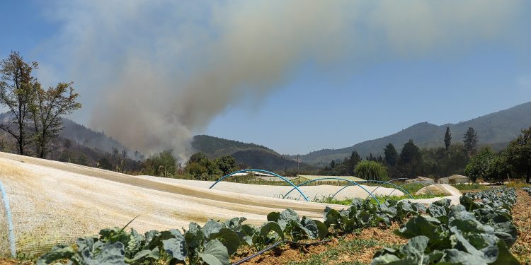 Minagri da inicio al Plan Estival 2025-2026 para fortalecer la prevención y respuesta ante emergencias climáticas