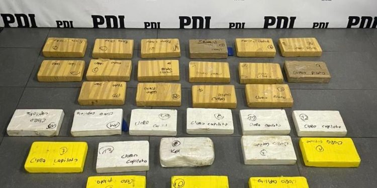 PDI Arica incautó más de 68 mil dosis de drogas: cocaína y ketamina avaluadas en más de 700 millones de pesos