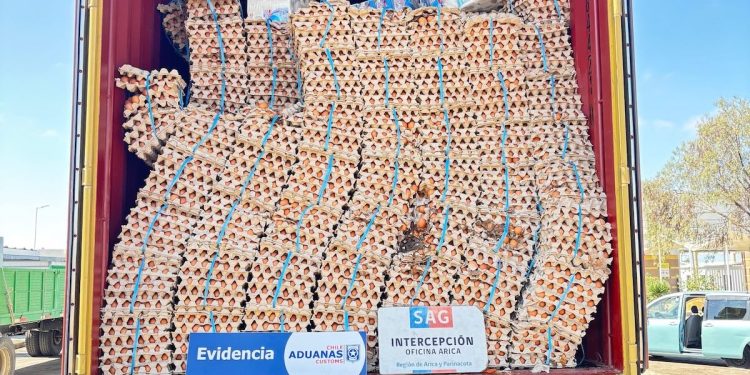 Con portal escáner SAG y Aduanas descubren contrabando de 400 mil huevos en la frontera con Bolivia