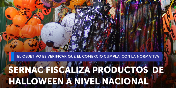 Sernac fiscaliza a lo largo del país la venta de productos utilizados en fiestas de Halloween