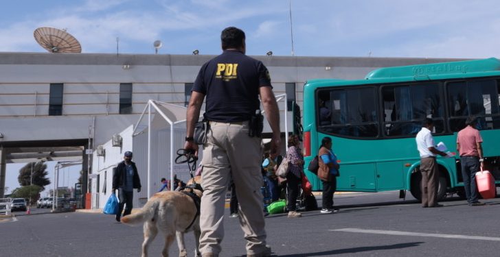 PDI detuvo a dos imputadas por tráfico de drogas: Alerta de ejemplar canino permitió detectar ketamina en su equipaje