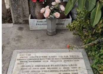 Guillermo y José Agustín Riquelme Lazo