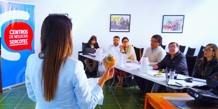 Sercotec inició selección final del Programa Capital Abeja 2025 para mujeres en Tarapacá