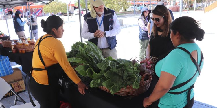 Inauguran Mercado Campesino en Pozo Almonte para emprendedoras del Tamarugal