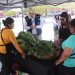 Inauguran Mercado Campesino en Pozo Almonte para emprendedoras del Tamarugal