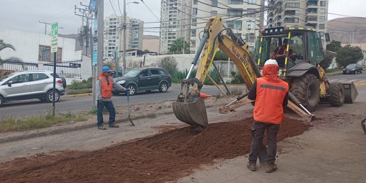 Pavimentación de la calle «Teresa Wilms Montt» es un proyecto; por ahora sólo taparán los hoyos