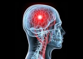 ACV: prevenir también es una responsabilidad política