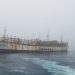 Sernapesca y Armada mantienen fiscalización de flota extranjera que ingresa a aguas nacionales para recalar
