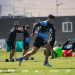 ¿Y en qué está Deportes Iquique en estos días? Renunció Nano Díaz / Lo reemplazaría Manuel Villalobos