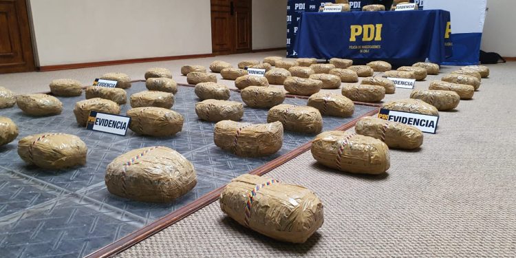 Más de 62 kilos de cannabis incautados en Antofagasta: Fiscalía y PDI desarticulan red de tráfico