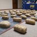 Más de 62 kilos de cannabis incautados en Antofagasta: Fiscalía y PDI desarticulan red de tráfico
