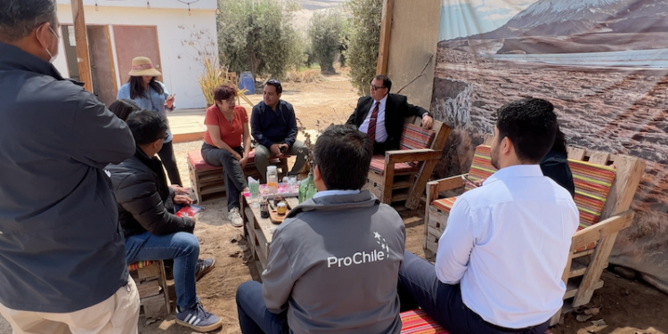 Consejeros regionales destacan la olivicultora de Azapa premiada internacionalmente