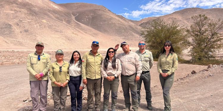 Reserva Nacional Pampa del Tamarugal mejora su conectividad con internet satelital