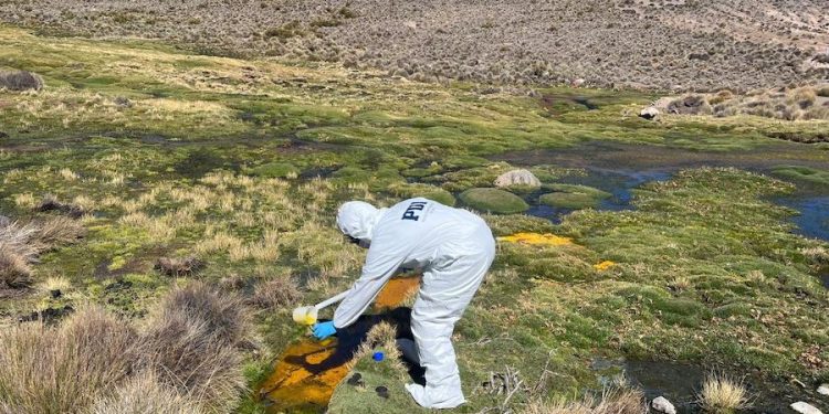 PDI Arica investiga daño ambiental tras derrame de aceite de soya en Lago Chungará por volcamiento de camión