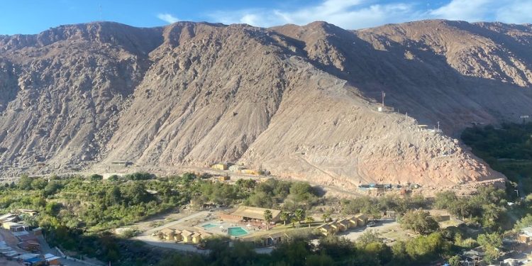 Sectores de Codpa logran la erradicación de la Mosca de la Fruta