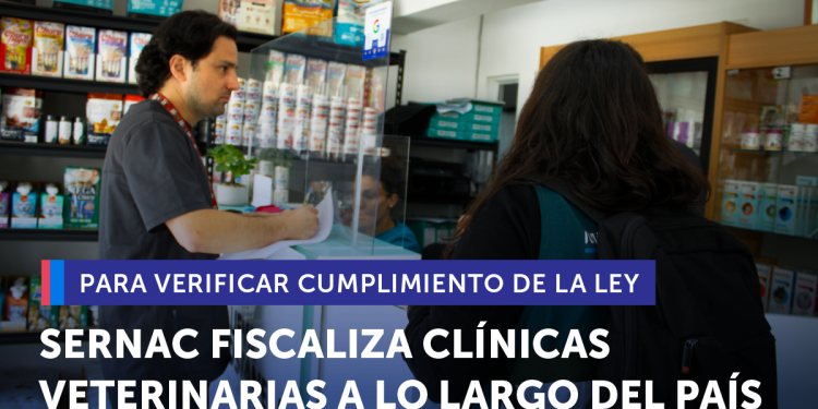 SERNAC fiscaliza clínicas veterinarias a lo largo del país