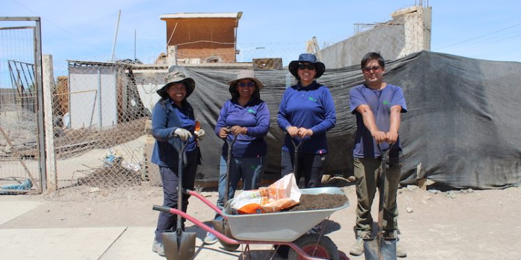 Colaboración Pública-Comunitaria de CONAF revitaliza Pica con más de 4.000 m² de áreas verdes