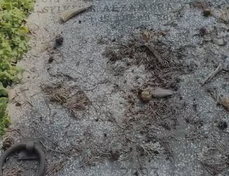 Juan Antonio Llausas Recasens