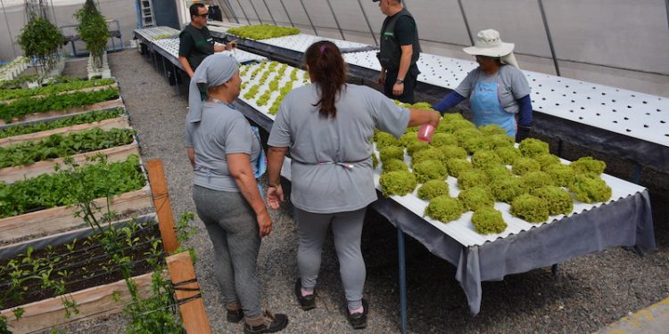 Centro de Estudio y Trabajo del CCP de Iquique una ventana para la reinserción social