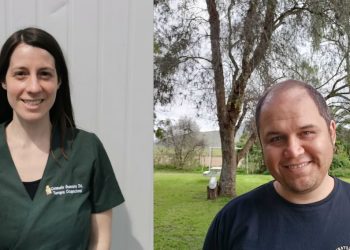 PAES: Regulación para rendir mejor