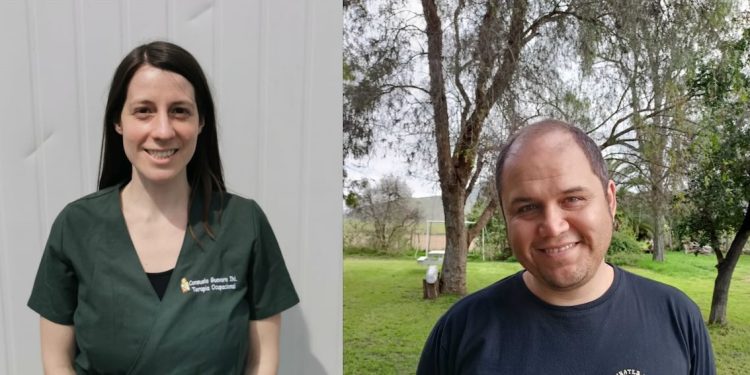 PAES: Regulación para rendir mejor